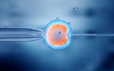 Assessing Your Fertility