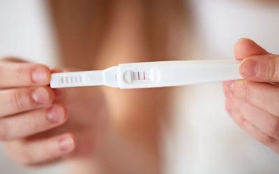 Investing in IVF? Invest in this first.