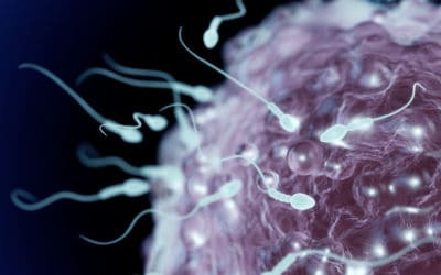 Common Medications Lower Male Fertility